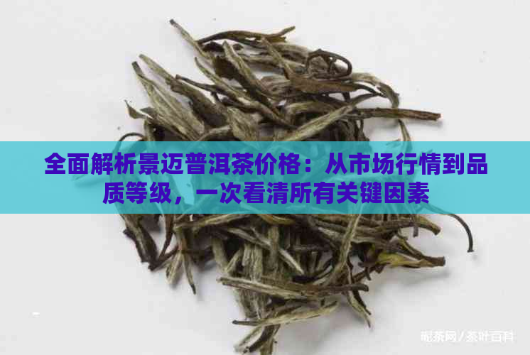 全面解析景迈普洱茶价格：从市场行情到品质等级，一次看清所有关键因素