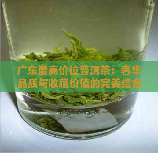 广东更高价位普洱茶：奢华品质与收藏价值的完美结合