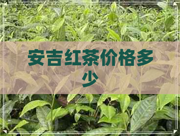 安吉红茶价格多少