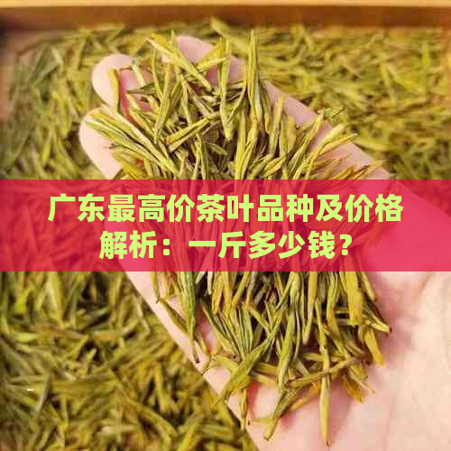 广东更高价茶叶品种及价格解析：一斤多少钱？