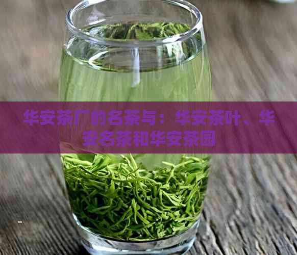 华安茶厂的名茶与：华安茶叶、华安名茶和华安茶园