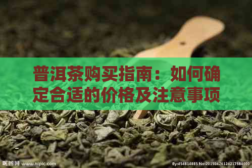 普洱茶购买指南：如何确定合适的价格及注意事项，让您轻松成为普洱茶专家