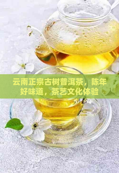 云南正宗古树普洱茶，陈年好味道，茶艺文化体验