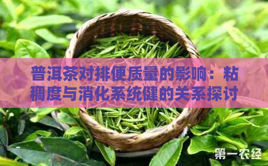 普洱茶对排便质量的影响：粘稠度与消化系统健的关系探讨