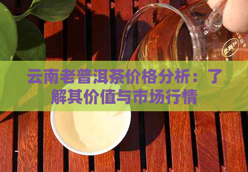 云南老普洱茶价格分析：了解其价值与市场行情