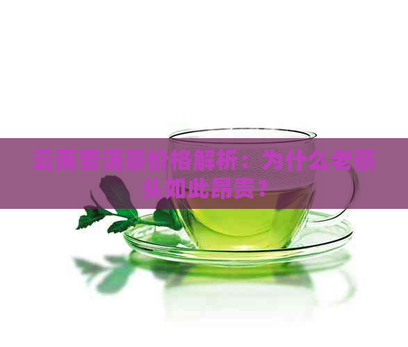 云南普洱茶价格解析：为什么老茶头如此昂贵？