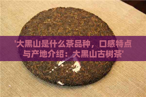 '大黑山是什么茶品种，口感特点与产地介绍：大黑山古树茶'