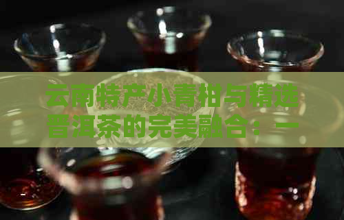 云南特产小青柑与精选晋洱茶的完美融合：一款独特的茶叶体验