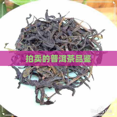 拍卖的普洱茶品鉴