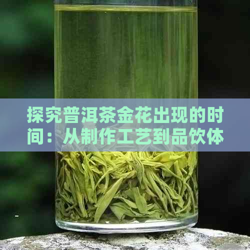 探究普洱茶金花出现的时间：从制作工艺到品饮体验