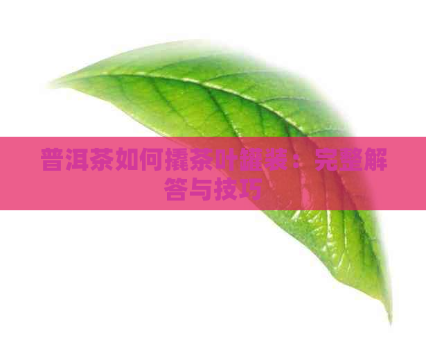 普洱茶如何撬茶叶罐装：完整解答与技巧