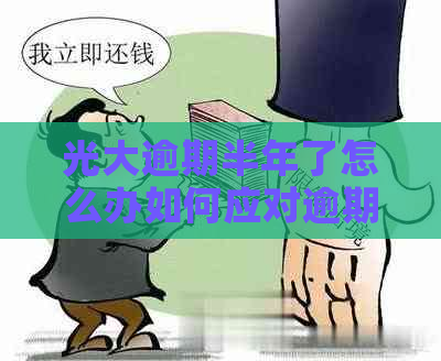 光大逾期半年了怎么办如何应对逾期问题和行动？