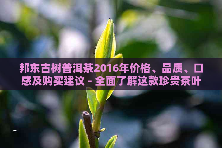 邦东古树普洱茶2016年价格、品质、口感及购买建议 - 全面了解这款珍贵茶叶