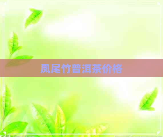 凤尾竹普洱茶价格