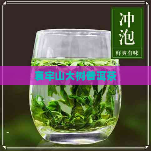 哀牢山大树普洱茶