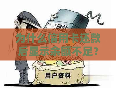 为什么信用卡还款后显示余额不足？