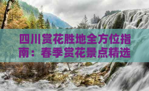 四川赏花胜地全方位指南：春季赏花景点精选与深度游览攻略