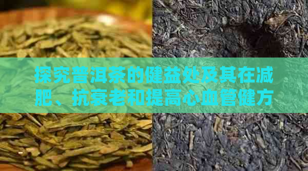 探究普洱茶的健益处及其在减肥、抗衰老和提高心血管健方面的应用