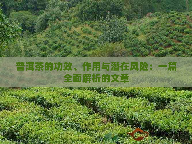 普洱茶的功效、作用与潜在风险：一篇全面解析的文章