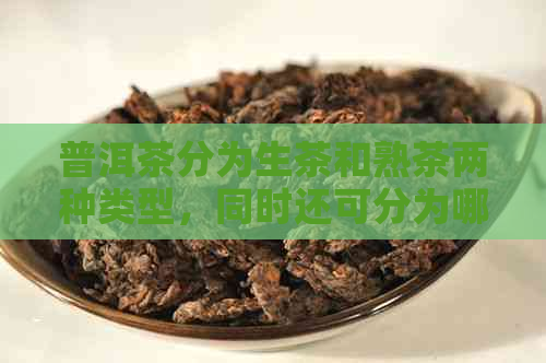 普洱茶分为生茶和熟茶两种类型，同时还可分为哪几类？