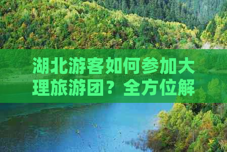 湖北游客如何参加大理旅游团？全方位解答报团流程与注意事项