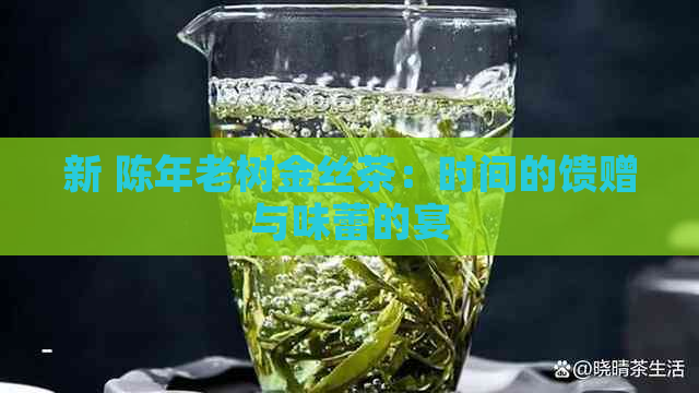 新 陈年老树金丝茶：时间的馈赠与味蕾的宴