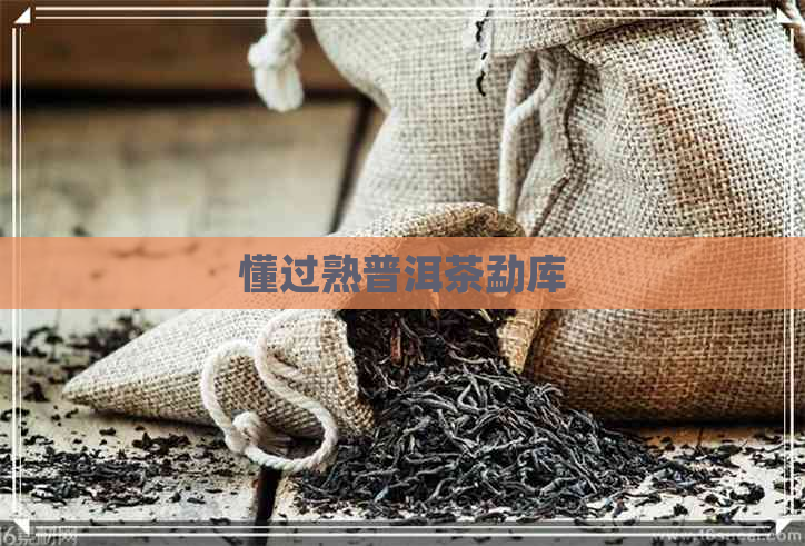 懂过熟普洱茶勐库