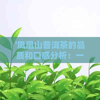 '凤凰山普洱茶的品质和口感分析：一款值得品鉴的中国茶叶'