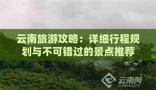 云南旅游攻略：详细行程规划与不可错过的景点推荐