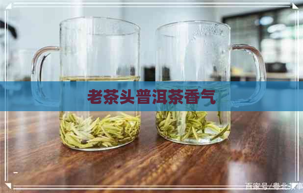 老茶头普洱茶香气