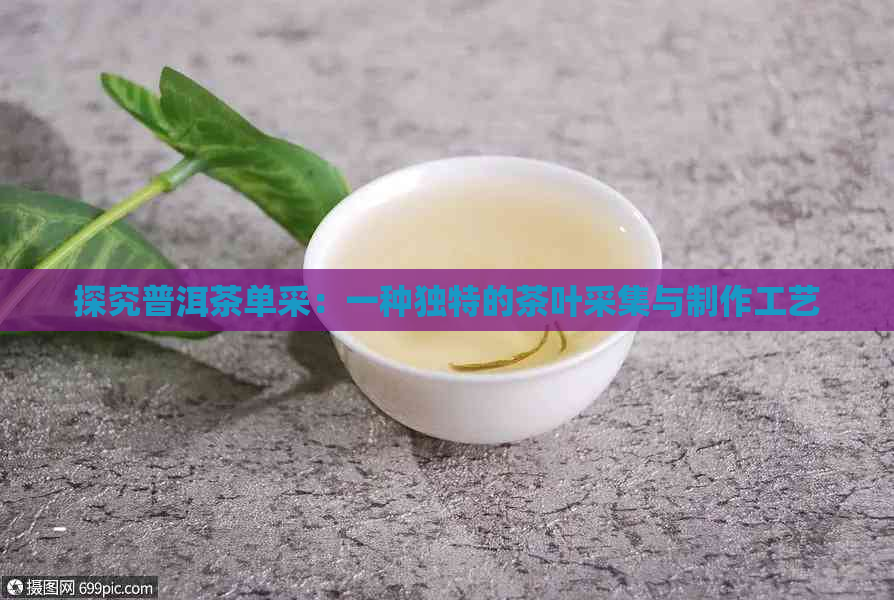 探究普洱茶单采：一种独特的茶叶采集与制作工艺