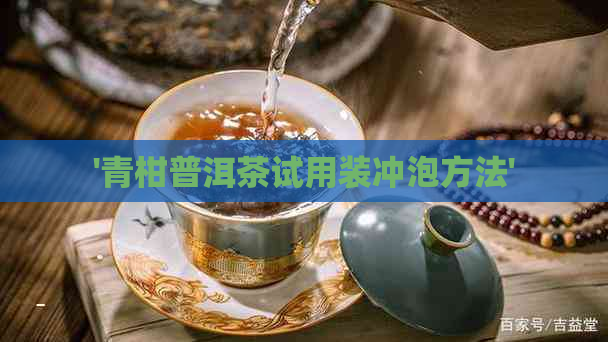 '青柑普洱茶试用装冲泡方法'