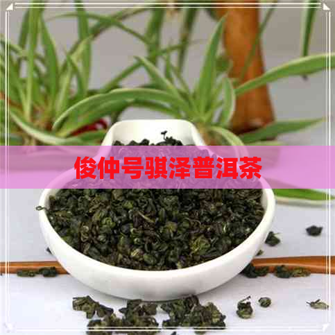 俊仲号骐泽普洱茶