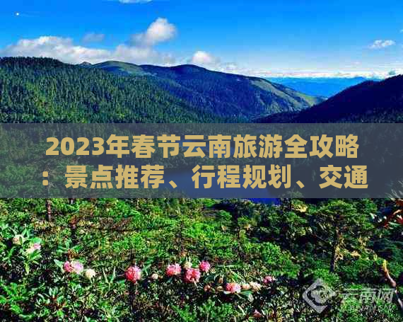 2023年春节云南旅游全攻略：景点推荐、行程规划、交通住宿及必备物品一览