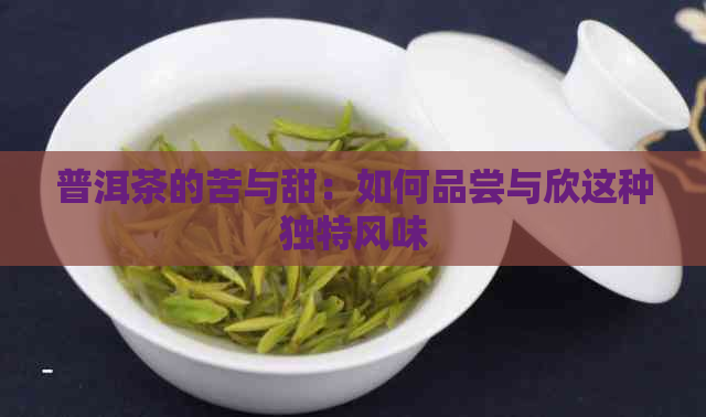 普洱茶的苦与甜：如何品尝与欣这种独特风味