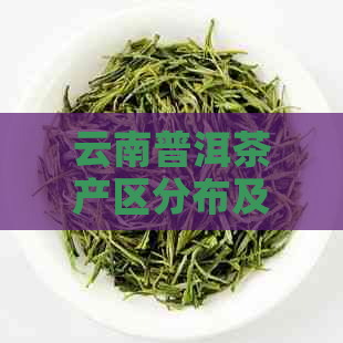 云南普洱茶产区分布及特点：云南哪些地区有普洱茶？