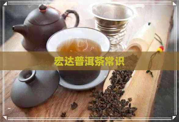 宏达普洱茶常识