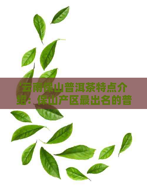 '云南保山普洱茶特点介绍：保山产区最出名的普洱茶款及品饮方法'