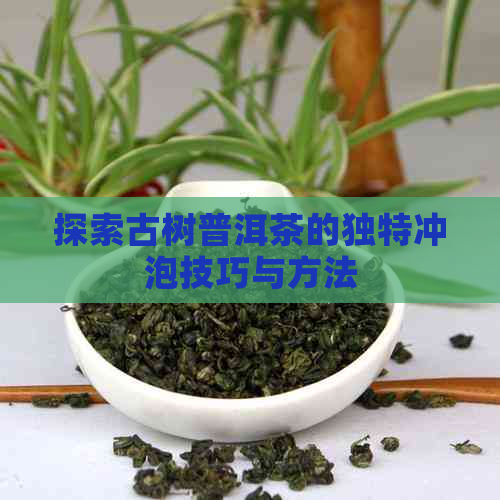 探索古树普洱茶的独特冲泡技巧与方法