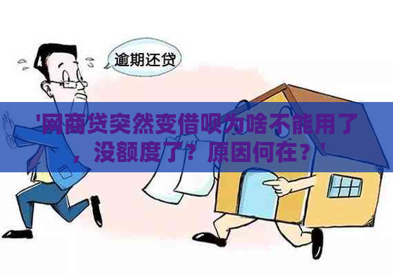 '网商贷突然变借呗为啥不能用了，没额度了？原因何在？'