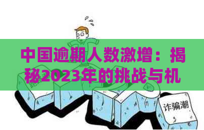 中国逾期人数激增：揭秘2023年的挑战与机遇