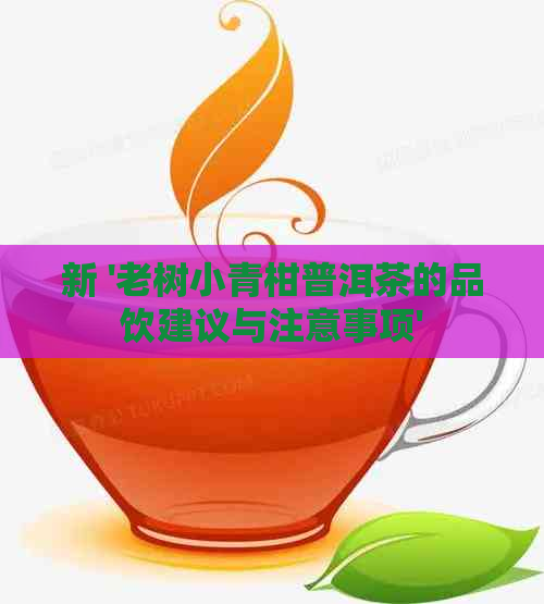 新 '老树小青柑普洱茶的品饮建议与注意事项'