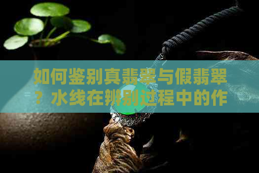 如何鉴别真翡翠与假翡翠？水线在辨别过程中的作用及影响全解析