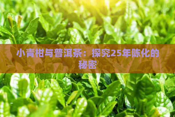 小青柑与普洱茶：探究25年陈化的秘密