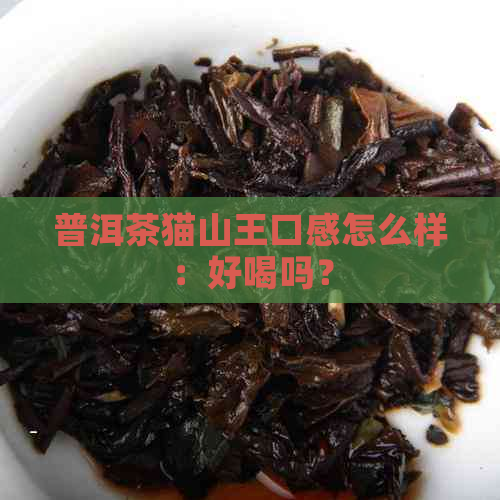 普洱茶猫山王口感怎么样：好喝吗？