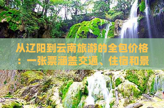 从辽阳到云南旅游的全包价格：一张票涵盖交通、住宿和景点门票吗？