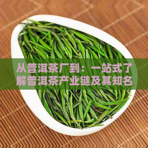 从普洱茶厂到：一站式了解普洱茶产业链及其知名