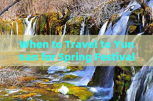 When to Travel to Yunnan for Spring Festival: Best Dates and Tips