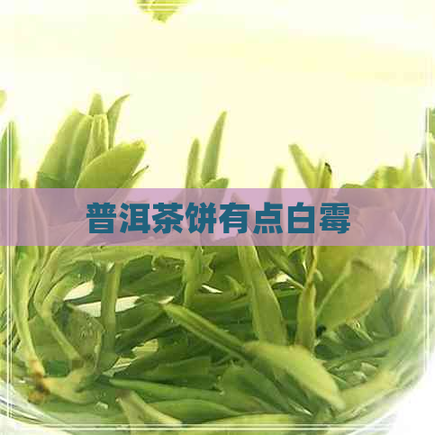 普洱茶饼有点白霉