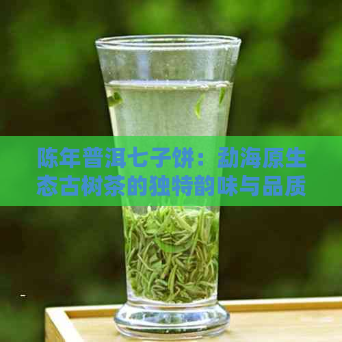 陈年普洱七子饼：勐海原生态古树茶的独特韵味与品质